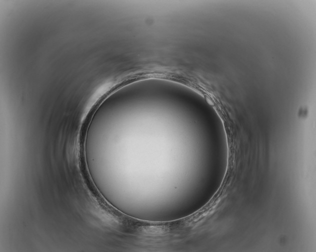 X0000094340102200711091438