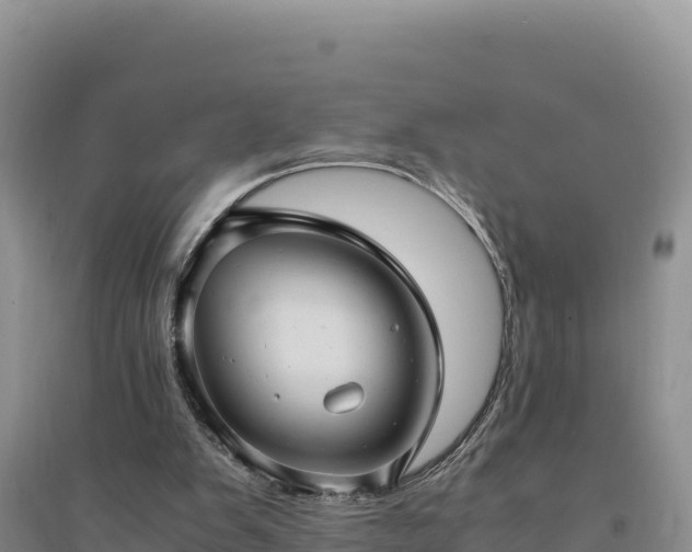 X0000094340103200711091438