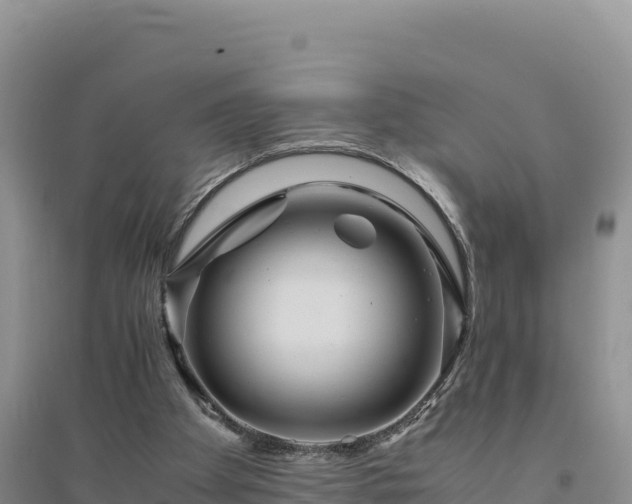 X0000094340105200711091438