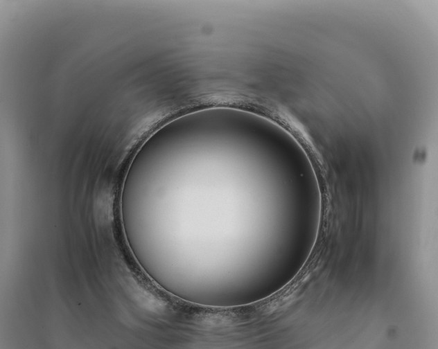 X0000094340106200711091438
