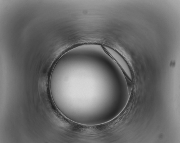 X0000094340107200711091438