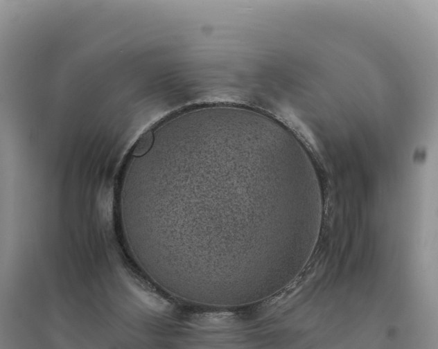 X0000094340108200711091438