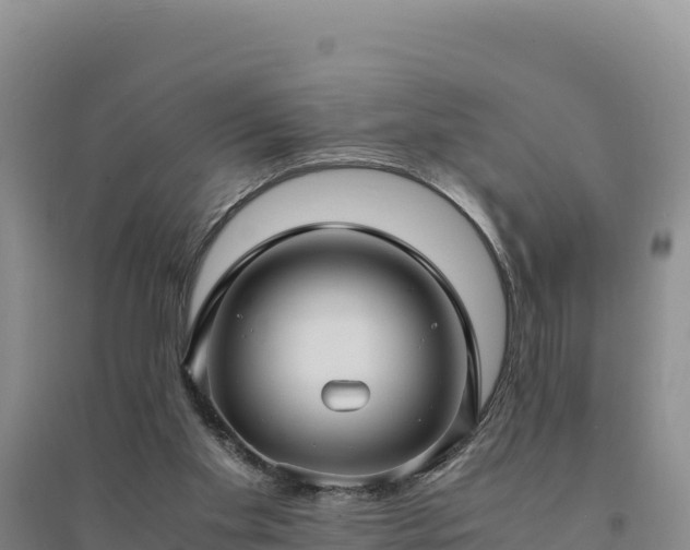 X0000094340109200711091438