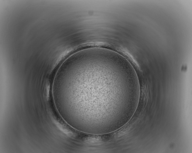 X0000094340110200711091438