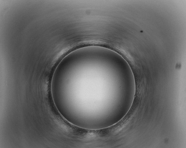 X0000094340111200711091438