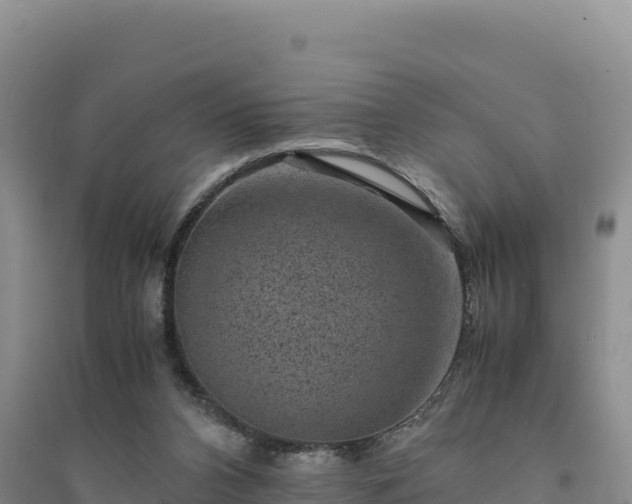 X0000094340112200711091438