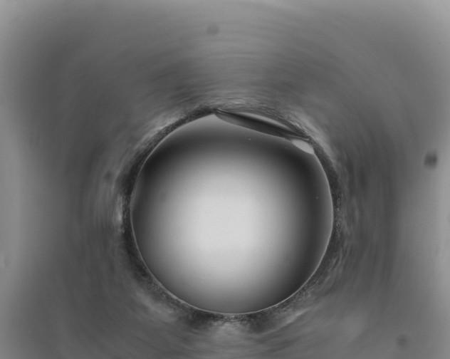 X0000094340115200711091438