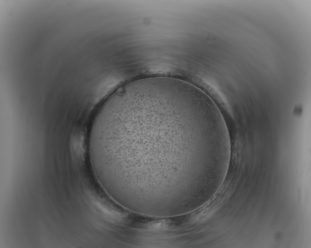 X0000094340116200711091438