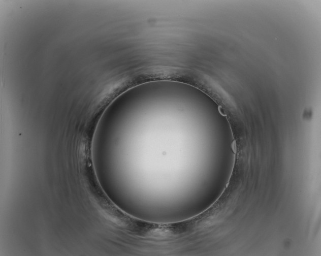 X0000094340119200711091438