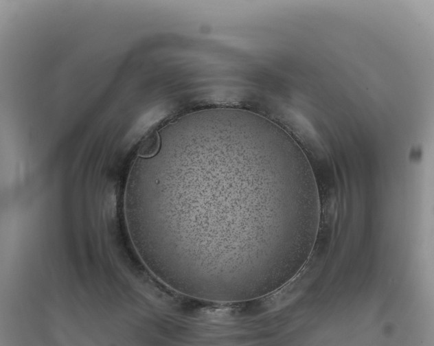 X0000094340120200711091438