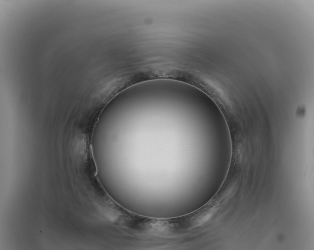 X0000094340121200711091438