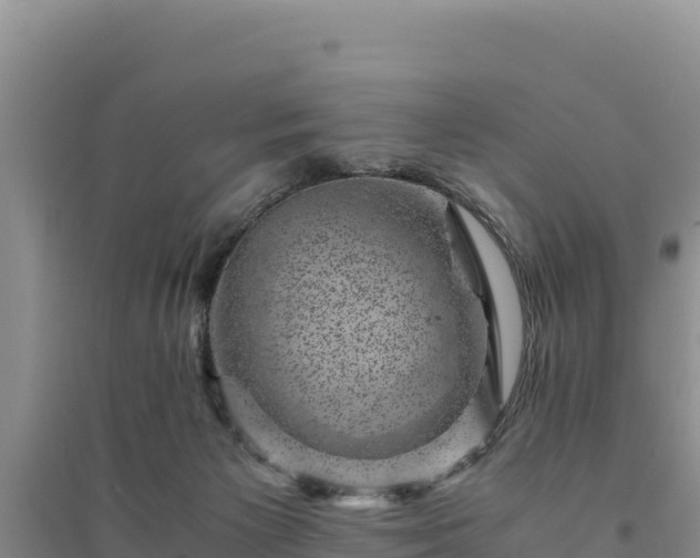 X0000094340125200711091438