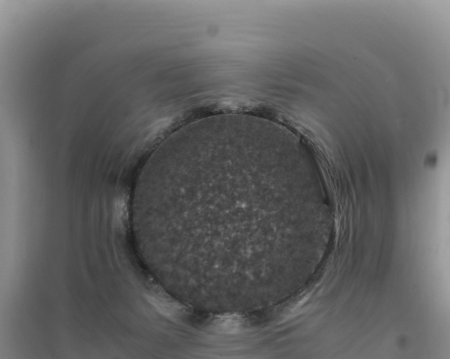 X0000094340127200711091438