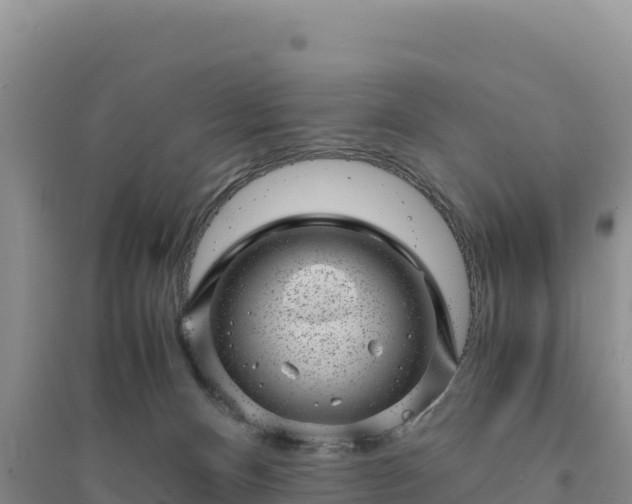 X0000094340128200711091438