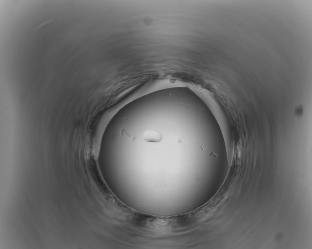 X0000094340129200711091438