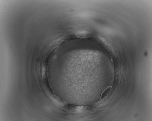 X0000094340130200711091438