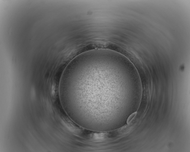 X0000094340134200711091438