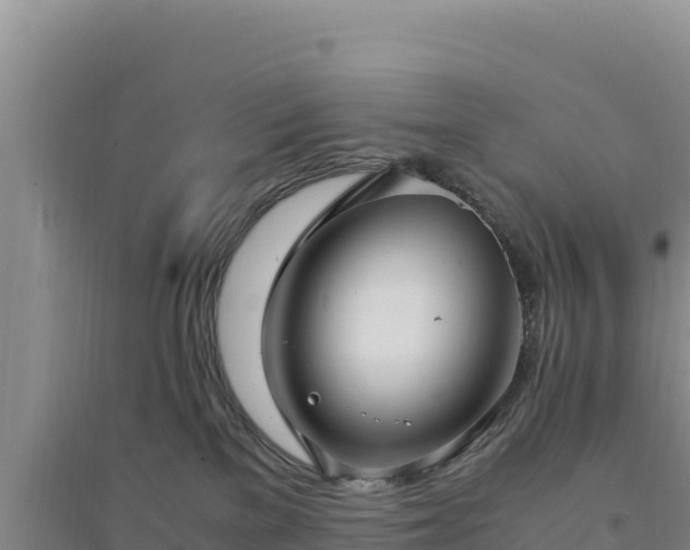 X0000094340137200711091438