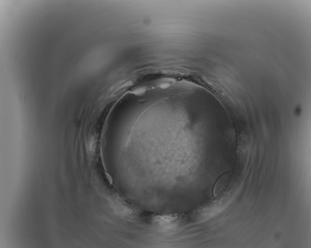 X0000094340139200711091438