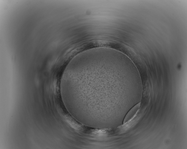 X0000094340140200711091438
