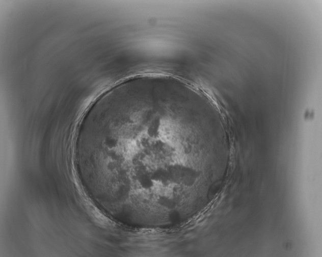 X0000094340145200711091437