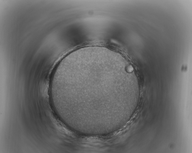 X0000094340146200711091437