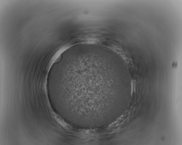 X0000094340147200711091437