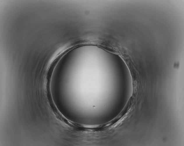 X0000094340150200711091437