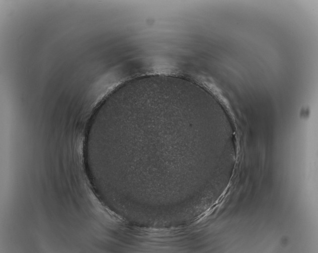 X0000094340154200711091437