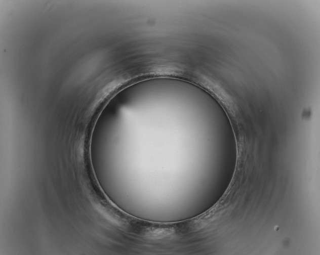 X0000094340155200711091437