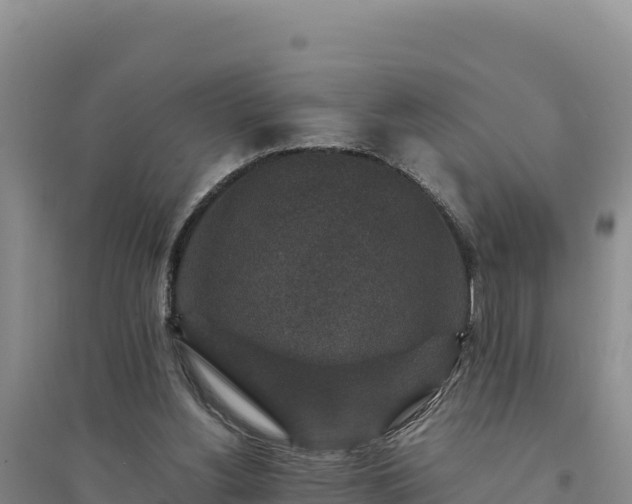 X0000094340156200711091437