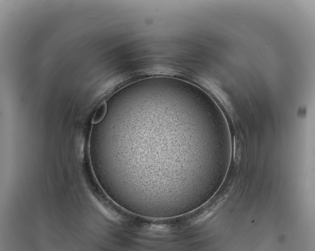 X0000094340157200711091437
