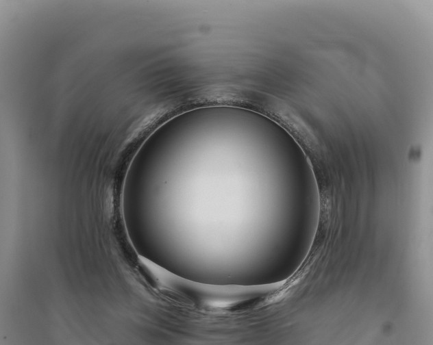 X0000094340158200711091437