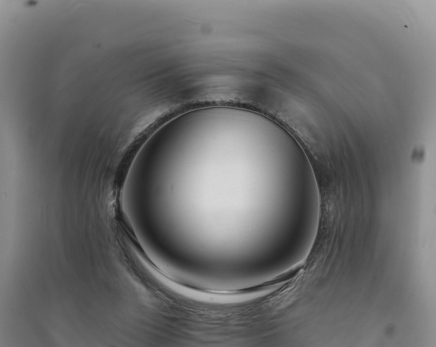 X0000094340160200711091437