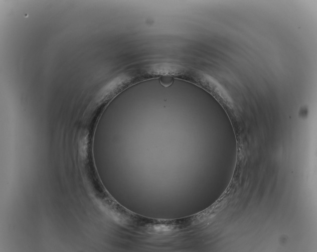 X0000094340163200711091437