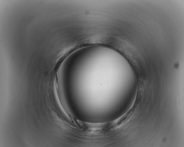 X0000094340164200711091437