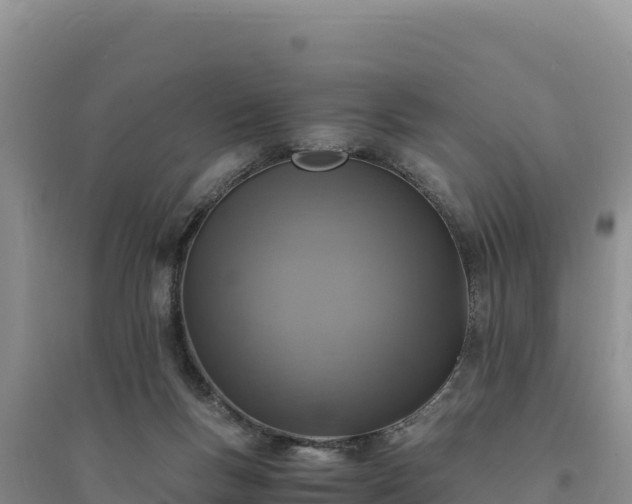 X0000094340167200711091437