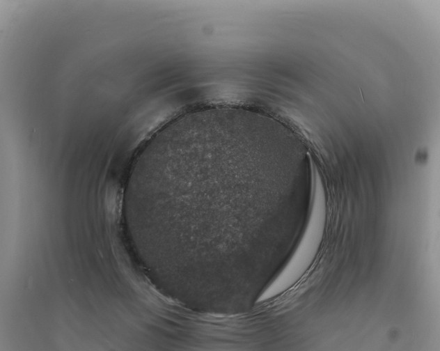 X0000094340168200711091437