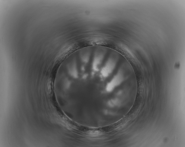 X0000094340169200711091437