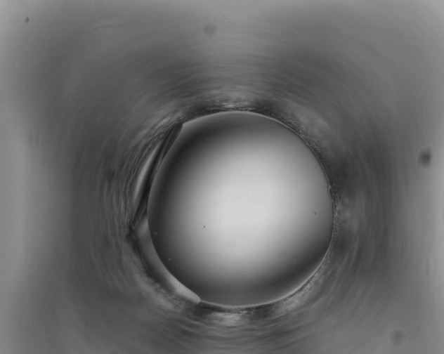 X0000094340170200711091437