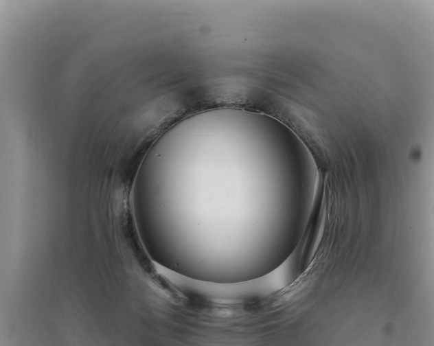 X0000094340172200711091437