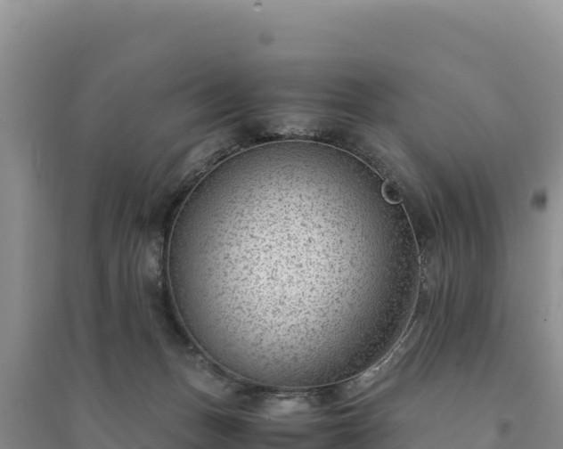 X0000094340175200711091437
