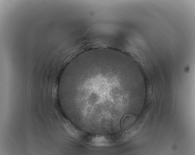 X0000094340177200711091437