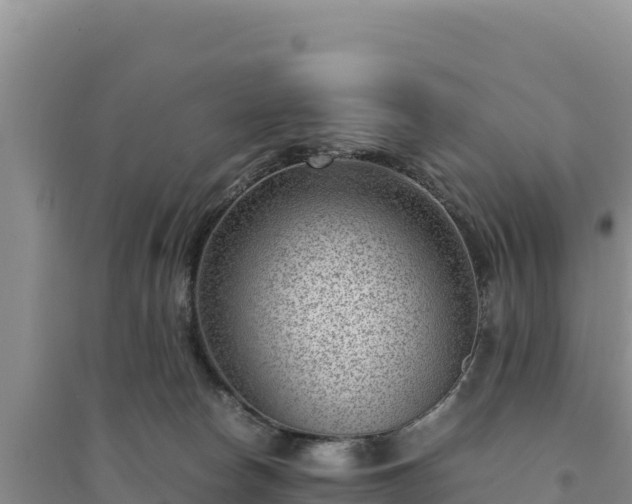 X0000094340178200711091437