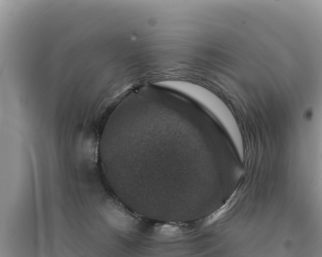 X0000094340180200711091437