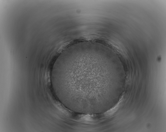 X0000094340182200711091437