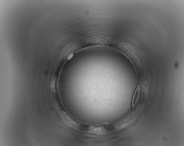 X0000094340185200711091437