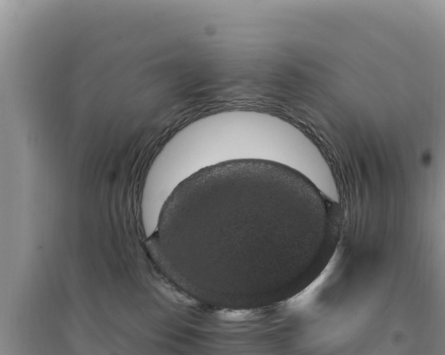 X0000094340186200711091437