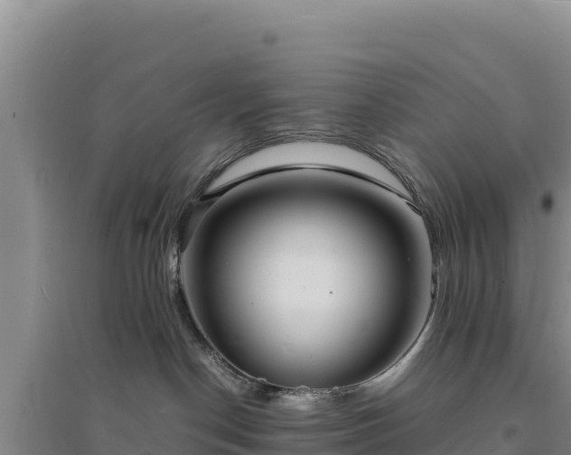 X0000094340190200711091437