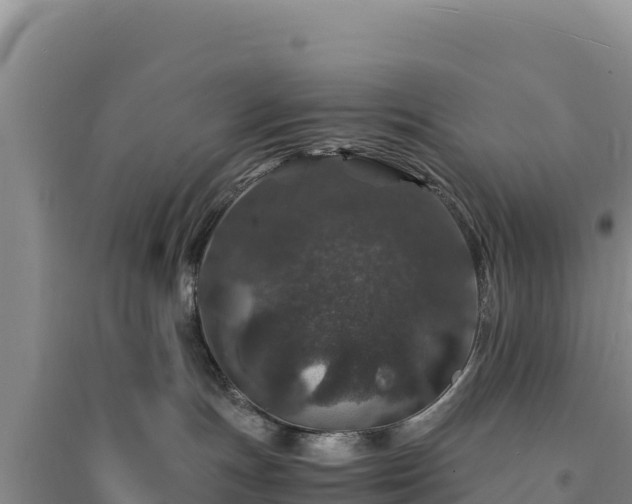 X0000094340191200711091437